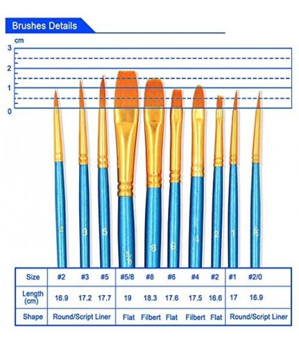 BOSOBO Paint Brushes Set, 2 Pack 20 Pcs Round Pointed Tip Paintbrushes Nylon Hair Artist Acrylic Paint Brushes for Acrylic Oil Watercolor, Face Nail Art, Miniature Detailing & Rock Painting, Blue